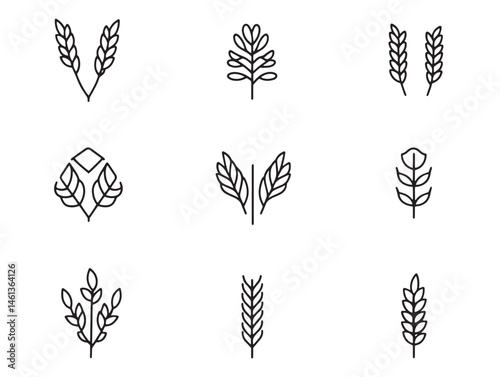 hand drawn buckwheat food line art for kitchen design