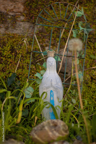 Obraz na płótnie A plastic figurine of the Virgin Mary with a crown on her head in the garden of a small Irish town surrounded by grass and fluffy dandelions and an old fence in the background w salonie