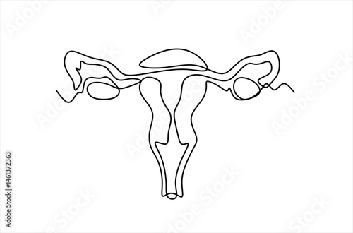 One continuous line drawing of woman uterus. Ovary and womb reproductive system in simple linear style for logo and web banner gynecology medical clinic. Editable stroke. Flourish vector illustration.