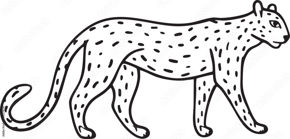 Fototapeta premium A sleek leopard gracefully strides through a shaded area.