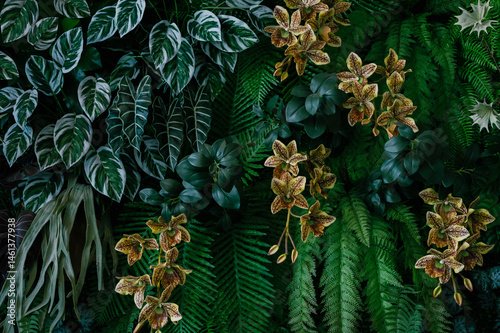 abstract green leaf texture, tropical leaf foliage nature dark green background