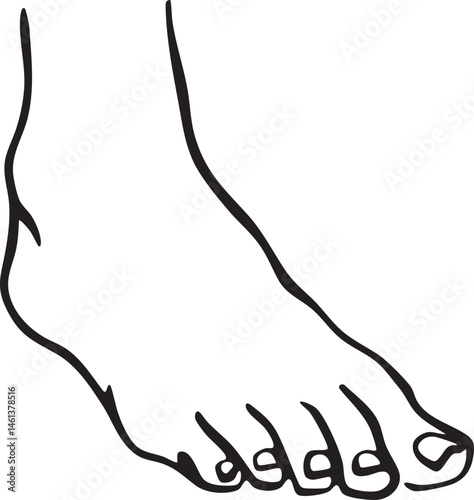 A detailed drawing depicts a foot in profile.