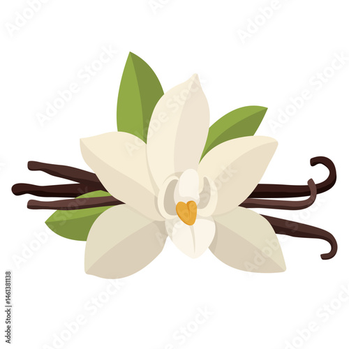 Vector icon image of Vanilla one of the most common food flavors