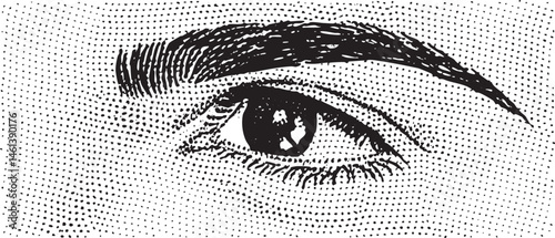 A focused eye with meticulously styled eyebrow arches.