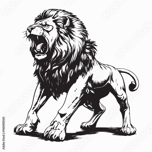 Lion Attacking Vector. Black and white Fierce Lion Roar image vector isolated on white background.