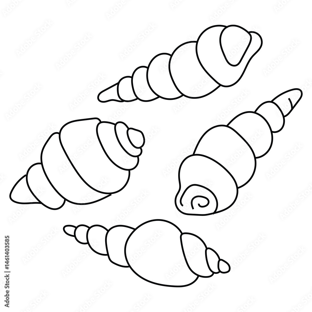 Collection of Simple Line Drawing Seashells Collection of Simple Line Drawing Seashells