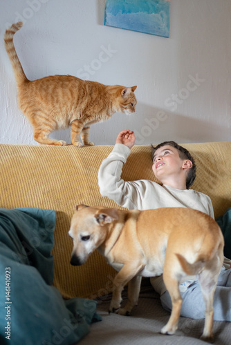 Boy playing with cat and dog on sofa at home