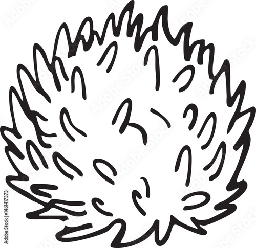 A circular of interconnected stylized lines forms a delicate