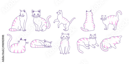 Hand Drawn Cat