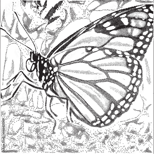 A monarch butterfly rests delicately on a dark green leaf.