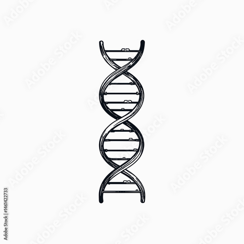 detailed black and white dna double helix illustration