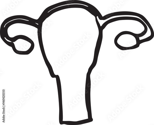 A simple black-and-white drawing depicts a female reproductive organ.