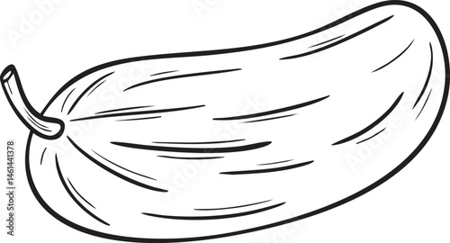A single elongated gourd rests on a white surface.