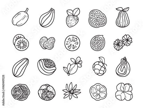 Minimalistic Capers Food Line Art Illustrations for Modern Kitchens