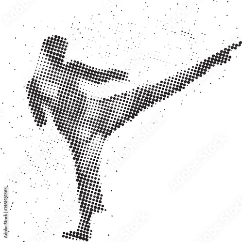 A silhouetted figure performs a dynamic kicking stance.