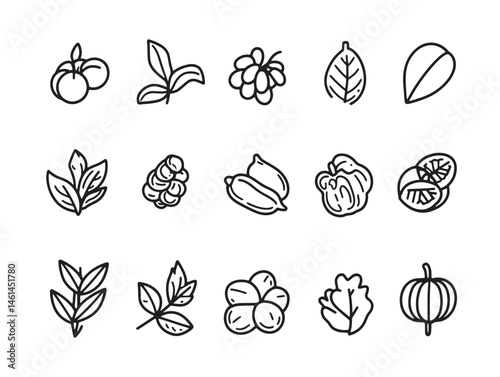 Fresh Capers Food Line Art for Restaurant Menus and Recipes