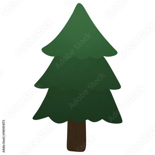 tree isolated