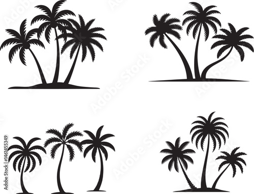 Set of Palm Tree Silhouettes Isolated on White Background  Tropical Nature 