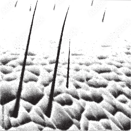 Black and white of hair follicles on skin.