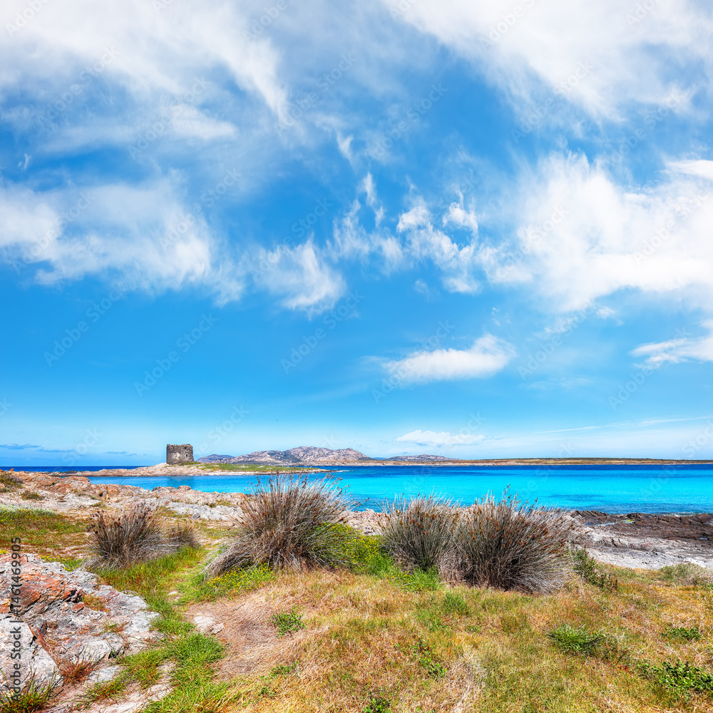 Unbelivable morning view of famous La Pelosa beach and rocky shore near Torre della Pelosa