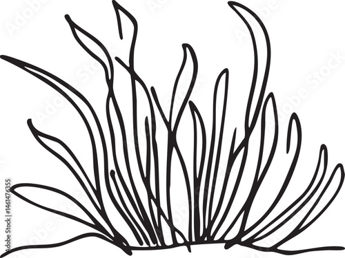 A delicate cluster of grass blades gently sways in the breeze.