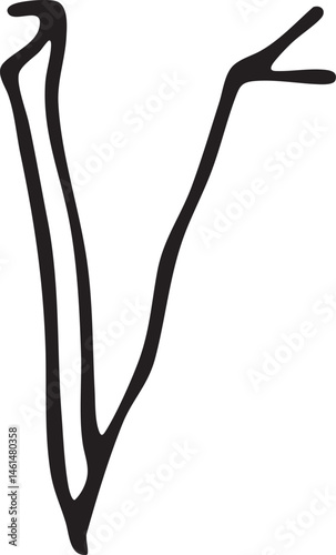 A simple elegant drawing of a stylized 'V' shape.