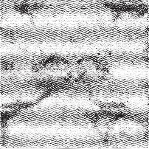 A grayscale portrait of a young woman's face.