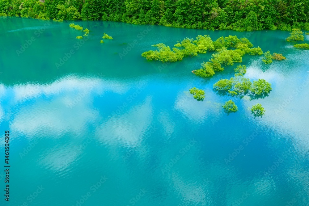 秋扇湖の水没林。仙北、秋田、日本。5月下旬。