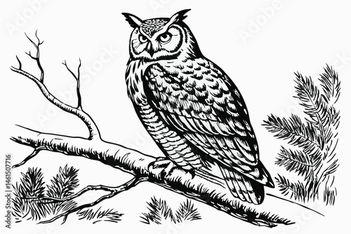 1 Realistic owl sketch, detailed feathers, perched on branch, black and white drawing, graphite pencil art, textured paper background, sharp eyes, tufted ears, wise expression, wildlife illustration, 