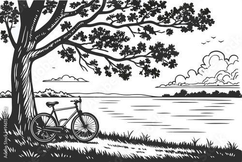 10 black and white illustration, detailed line art, serene lakeside scene, large tree with textured bark, bicycle leaning against tree, calm water surface, distant shoreline, wispy clouds, grassy fore