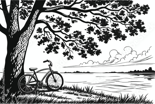 10 black and white illustration, detailed line art, serene lakeside scene, large tree with textured bark, bicycle leaning against tree, calm water surface, distant shoreline, wispy clouds, grassy fore