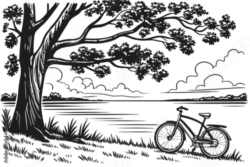 10 black and white illustration, detailed line art, serene lakeside scene, large tree with textured bark, bicycle leaning against tree, calm water surface, distant shoreline, wispy clouds, grassy fore