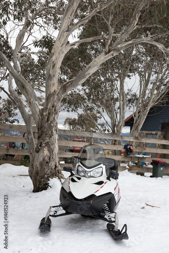 White ski doo parked beneath a eucalyptus tree