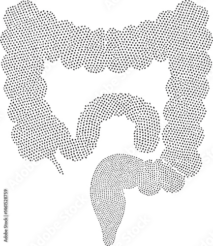 A stylized black and white of the human digestive system.