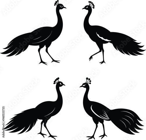 Four black silhouettes of peacocks facing opposite directions