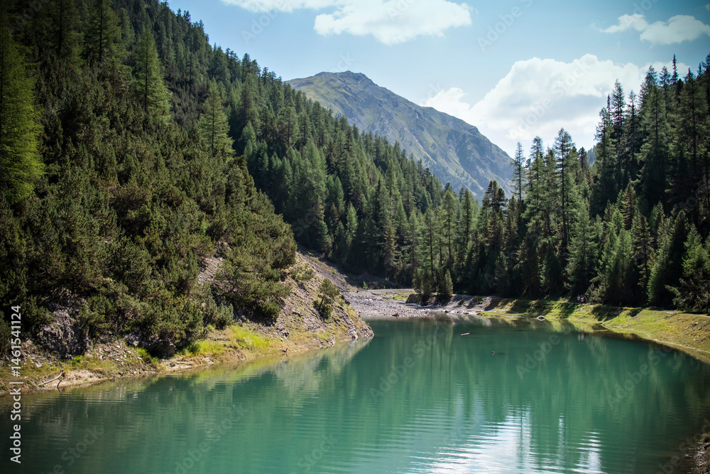 Scenic mountain lake with reflections and pine forest Scenic mountain lake with reflections and pine forest