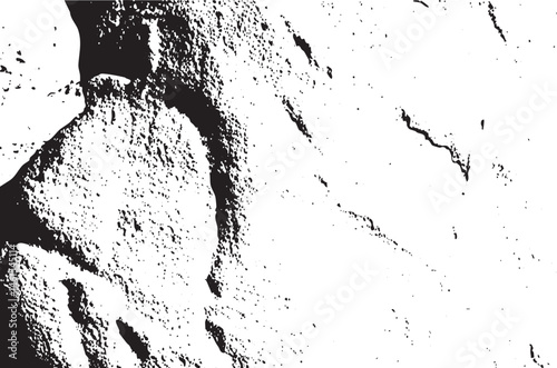 A textured grayscale close-up of a large rounded rock formation.