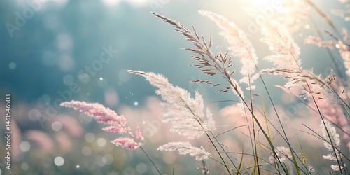 Minimalist Aesthetic Background with Soft Bokeh and Pastel Tones – Perfect for Stock Use
