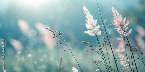 Minimalist Aesthetic Background with Soft Bokeh and Pastel Tones – Perfect for Stock Use
