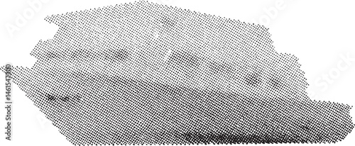 A grayscale portrait of a pig with textured skin.
