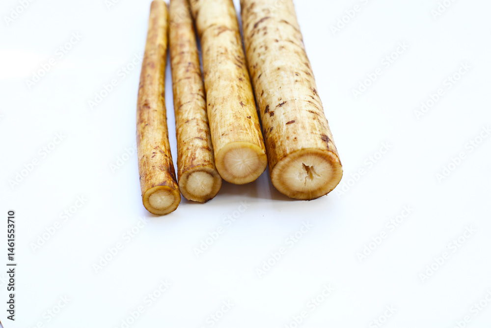 Fresh burdock roots or gobo roots Fresh burdock roots or gobo roots