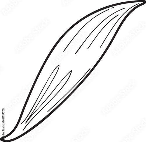 A simple black and white sketch of a stylized leaf.