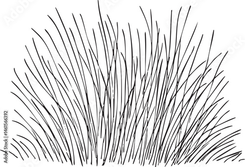 Dark spiky grass forms a dense texture against a neutral background.