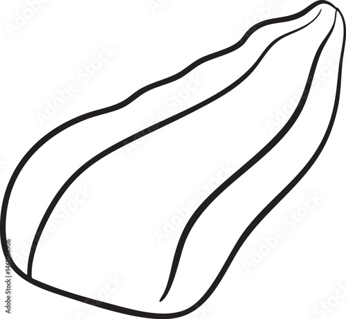 A simple outline of a elongated seed.