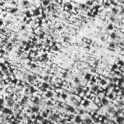A dense textured black and white fills the frame.
