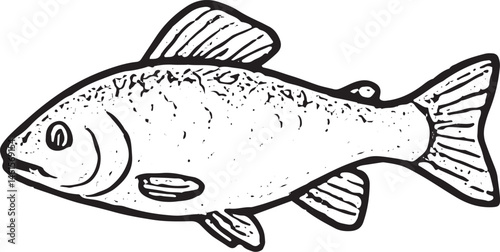 A hand-drawn black-and-white illustration of a perch with textured scales. Ideal for fishing designs, nature art, or aquatic-themed graphics