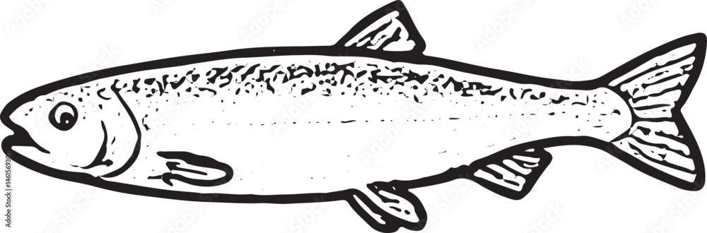 A hand-drawn black-and-white illustration of a perch with textured scales. Ideal for fishing designs, nature art, or aquatic-themed graphics