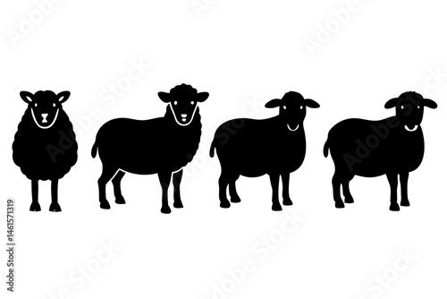 set of sheep  silhouette vector illustration