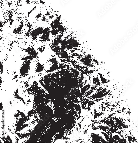 A dense swirling of black and white dots creates an abstract composition.