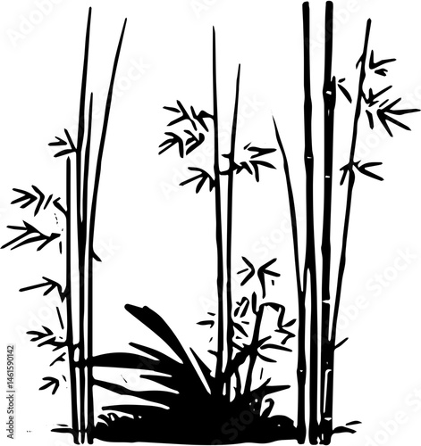 bamboo vector illustration